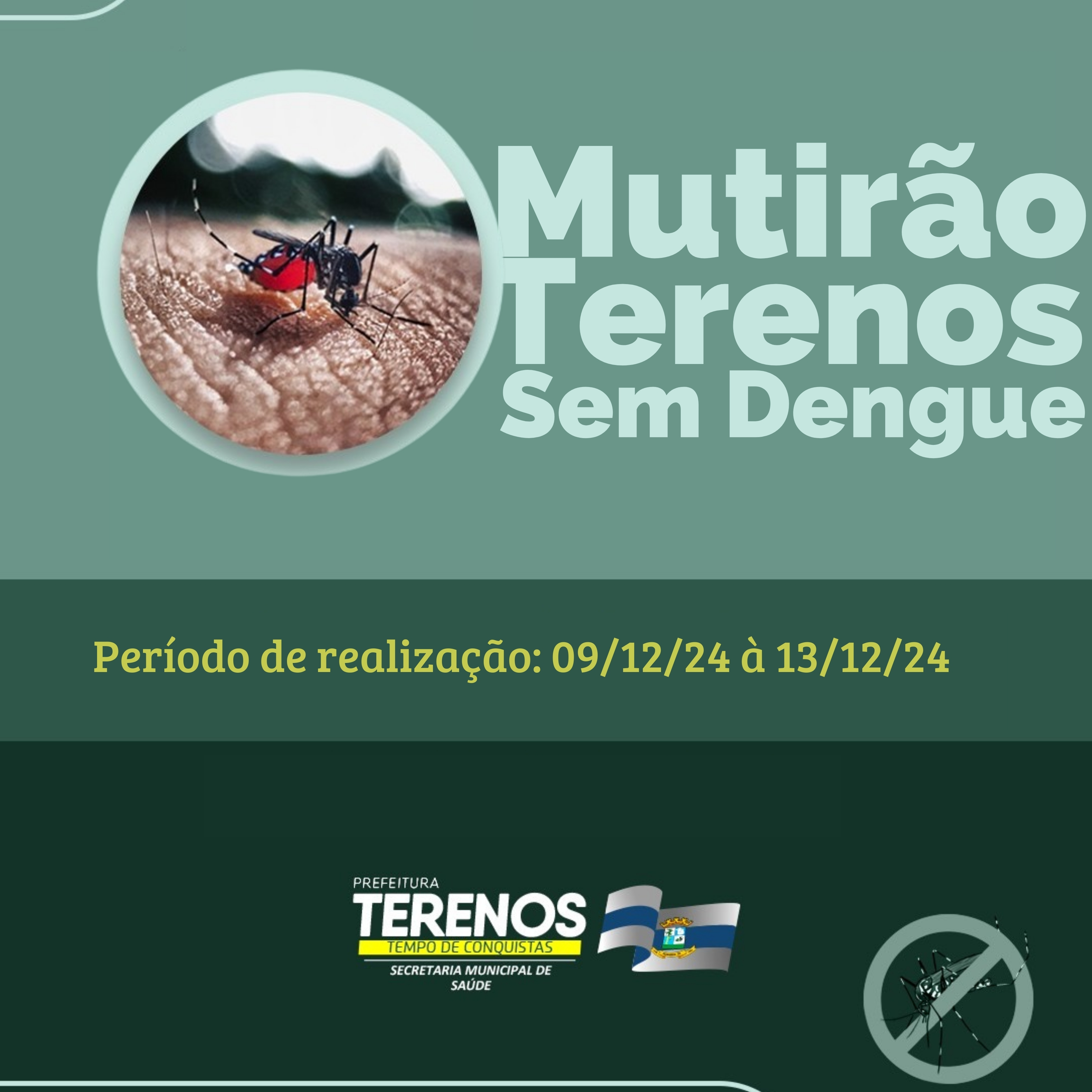 MUTIRÃO TERENOS SEM DENGUE