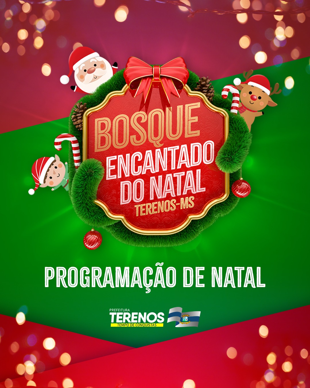 Bosque Encantado do Natal de Terenos