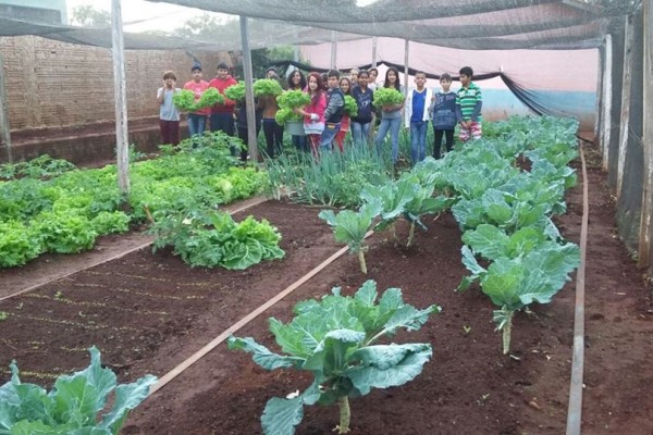 ESCOLA REALIZA DOAÇÃO DE PRODUTOS ORGÂNICOS PARA ENTIDADES DO MUNICÍPIO