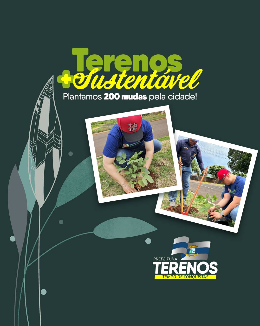 Terenos mais arborizada!