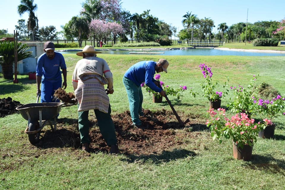 Plantio de flores e árvores nativas