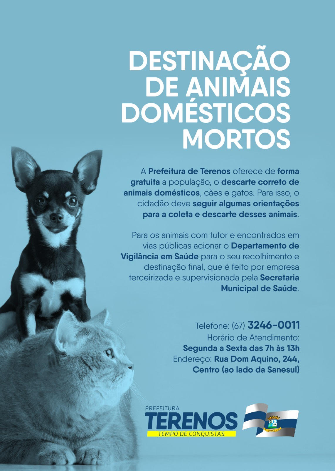 Destinação de animais domésticos mortos!